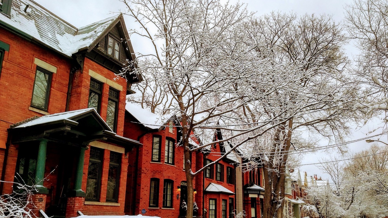 Photo of Outdoor in Cabbagetown