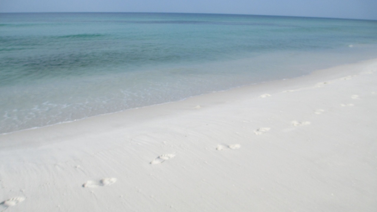 Photo of Others in Fort Walton Beach