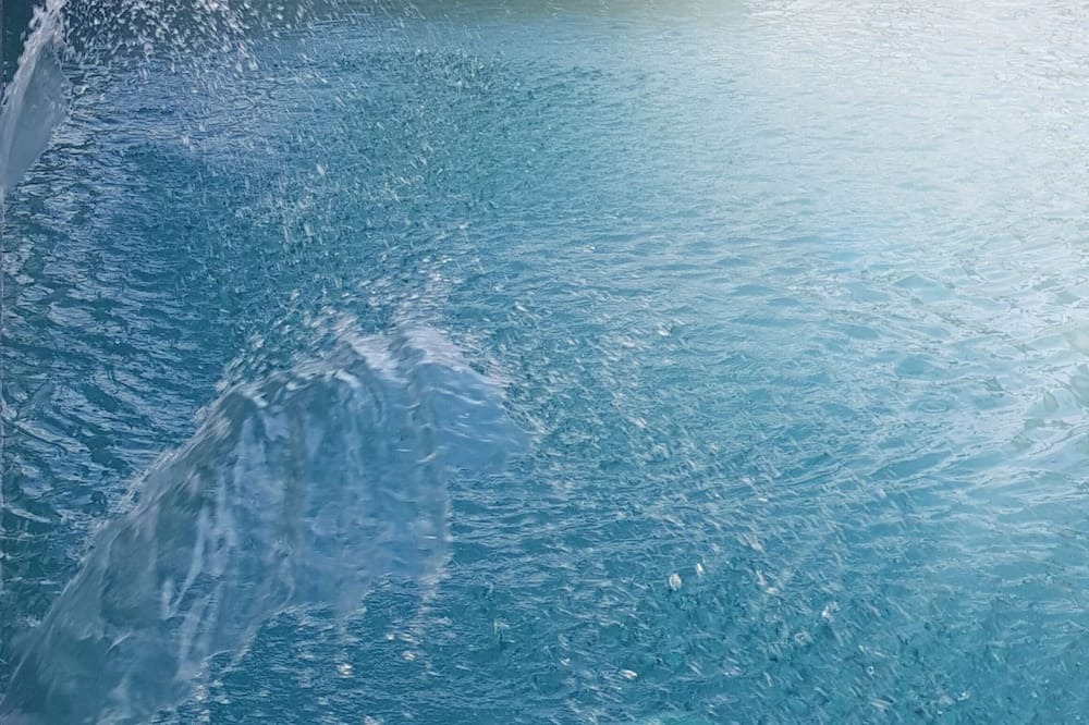 Photo of Outdoor in Windsor Palms