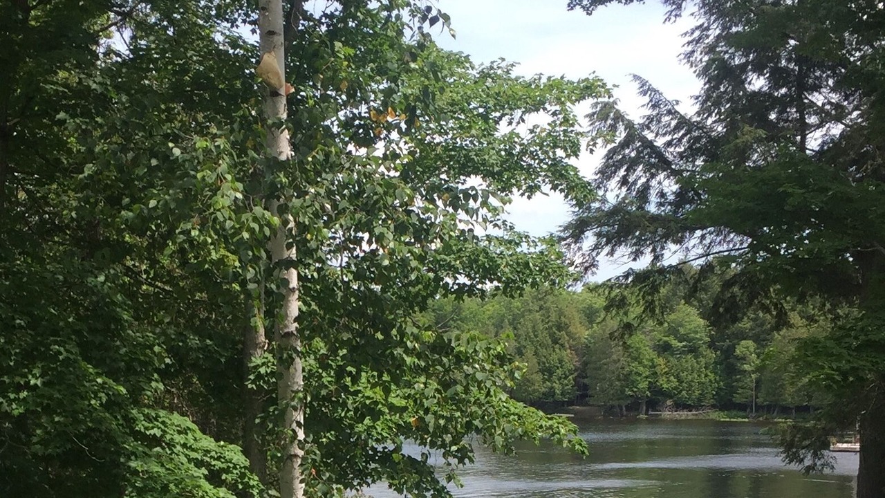 Photo of Outdoor in Magnetawan