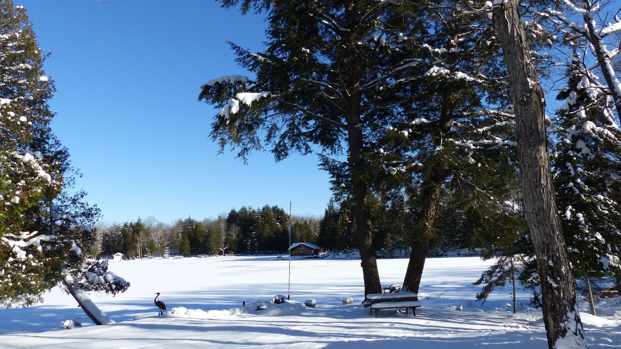 Photo of Others in Magnetawan