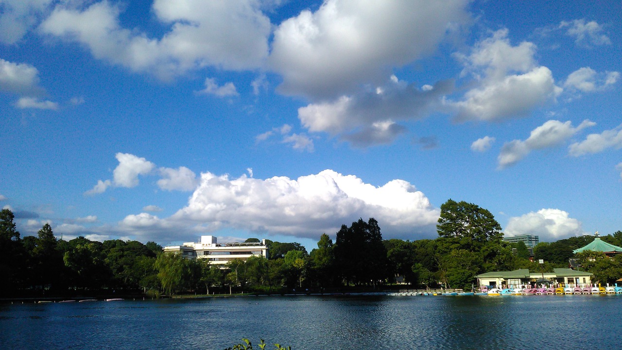Photo of Outdoor in Nezu