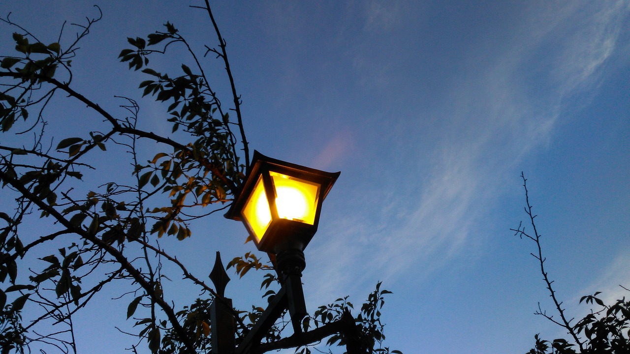Photo of Outdoor in Nezu