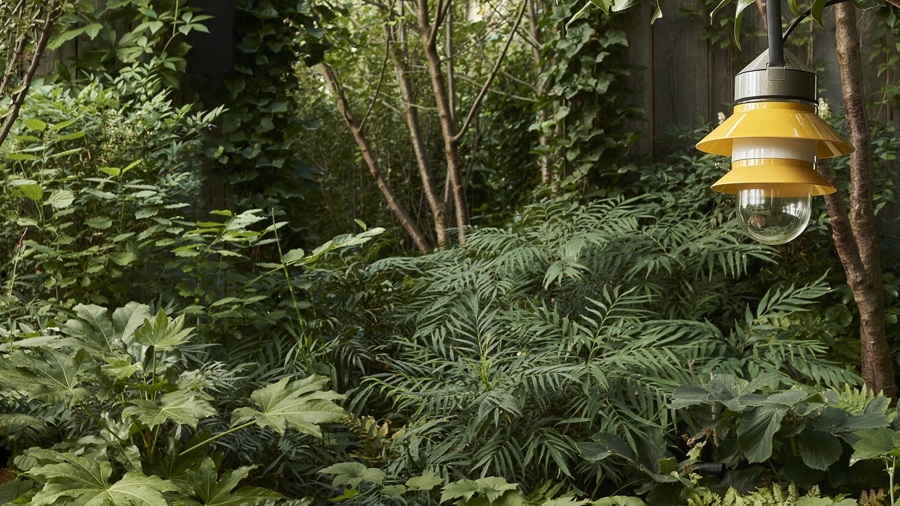 Photo of Outdoor in Quartier Saint-Georges