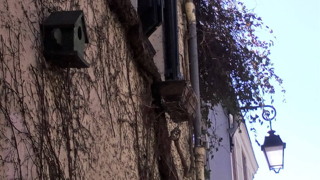 Photo of Outdoor in Saint-Fargeau