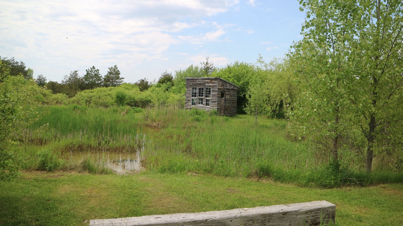 Photo of Outdoor in Carrying Place