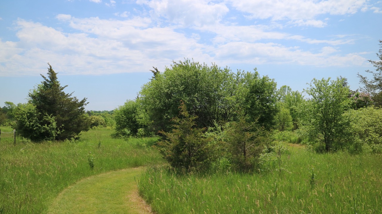 Photo of Outdoor in Carrying Place