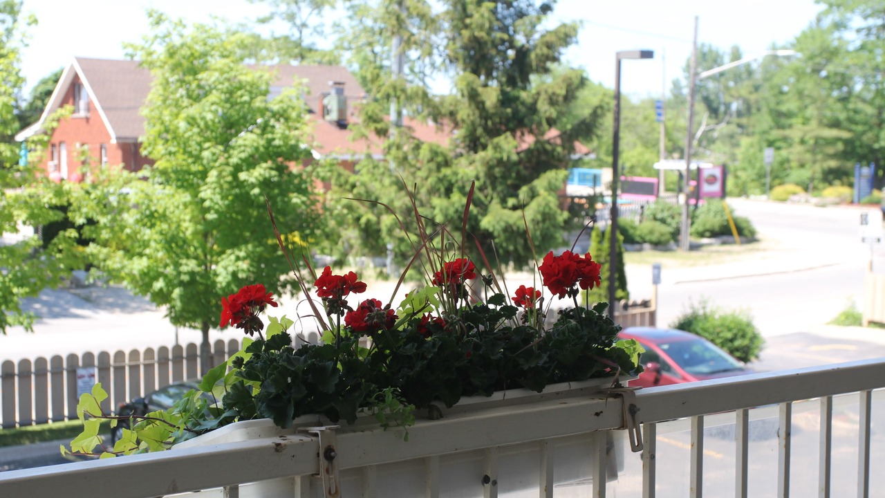 Photo of Patio Balcony in Wasaga Beach