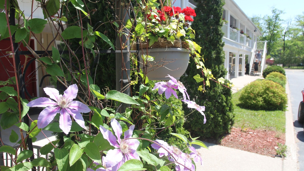 Photo of Outdoor in Wasaga Beach