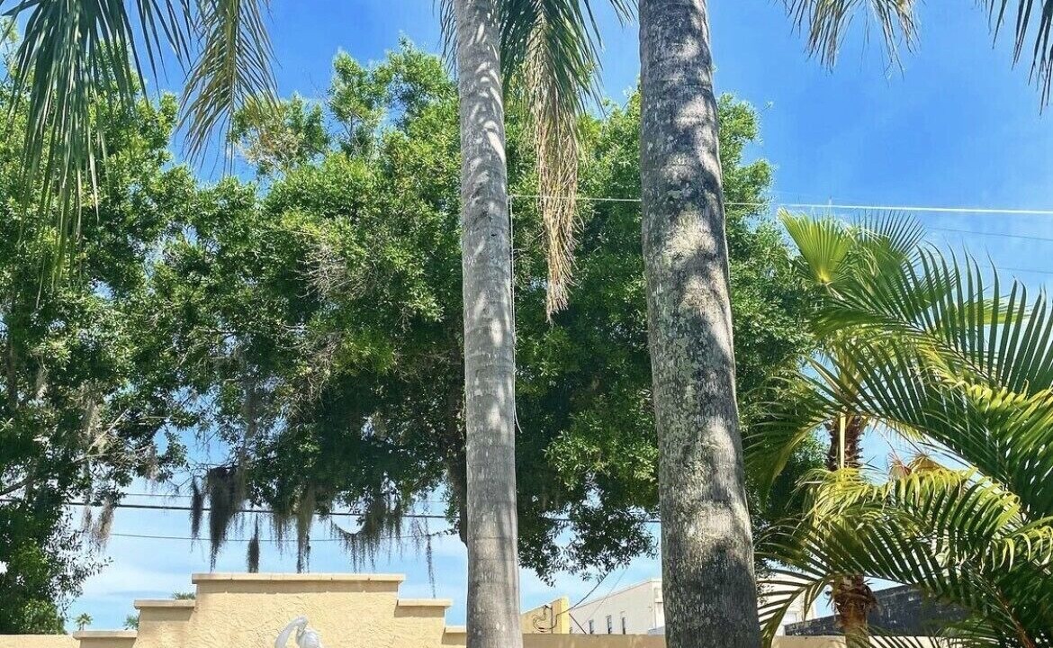 Photo of Outdoor in Saint Cloud