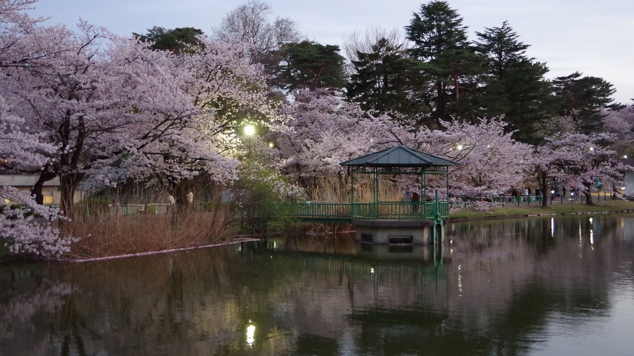 Photo of Others in Omiya
