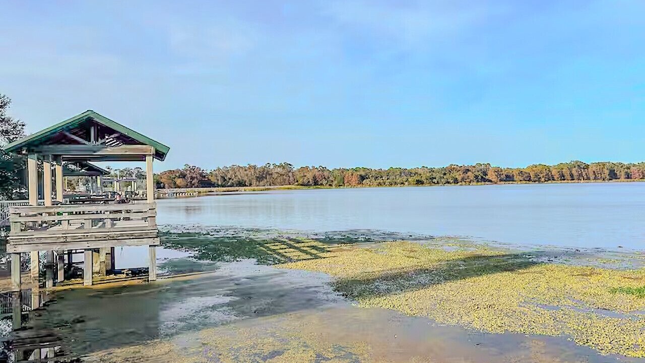 Photo of Outdoor in Crystal River