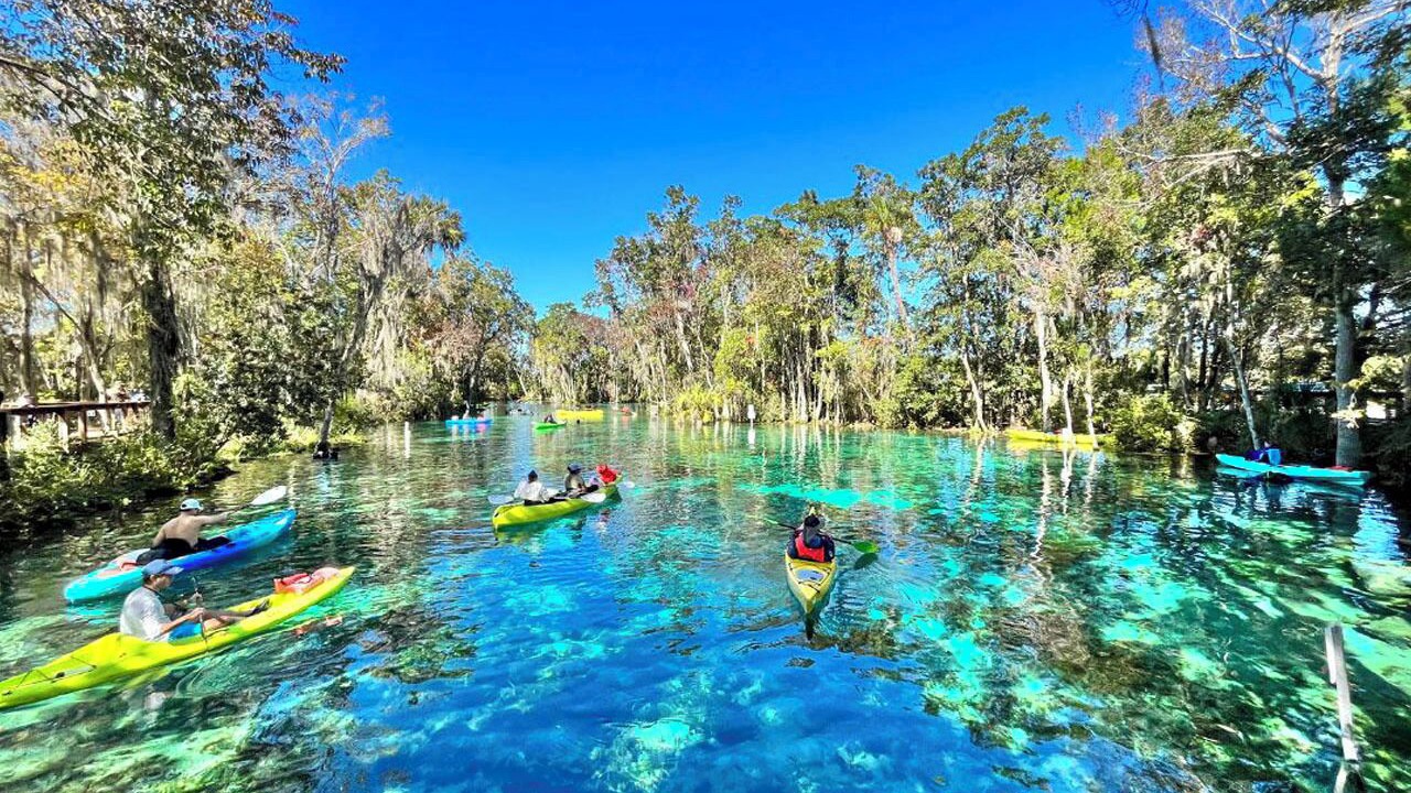 Photo of Outdoor in Crystal River