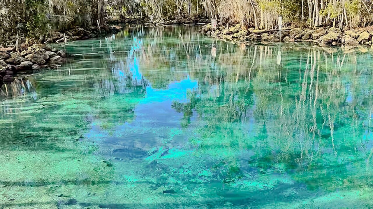 Photo of Outdoor in Crystal River