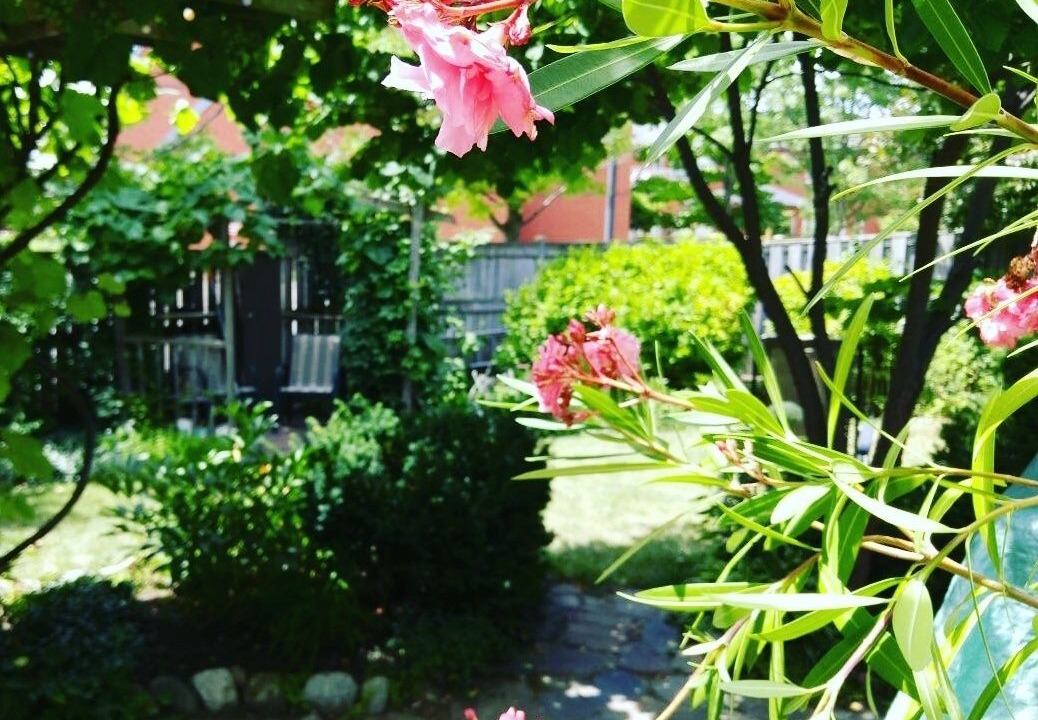 Photo of Outdoor in Stratford