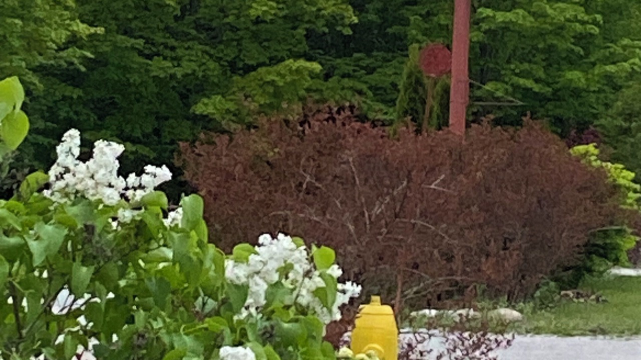 Photo of Outdoor in Manitoulin District