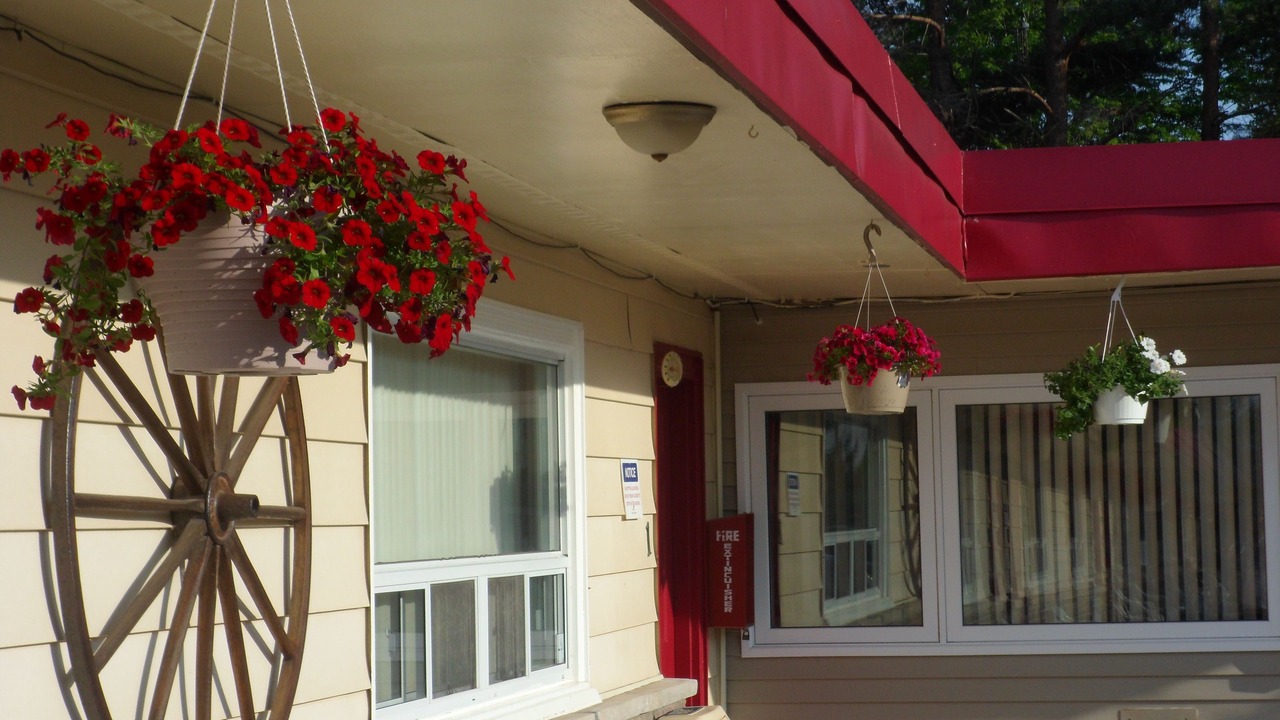 Photo of Outdoor in Central Huron