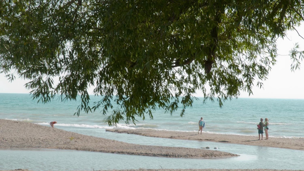 Photo of Others in Port Albert