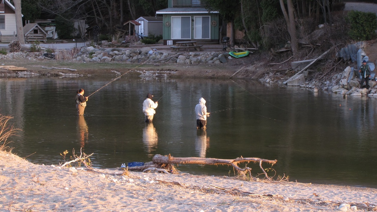 Photo of Others in Port Albert