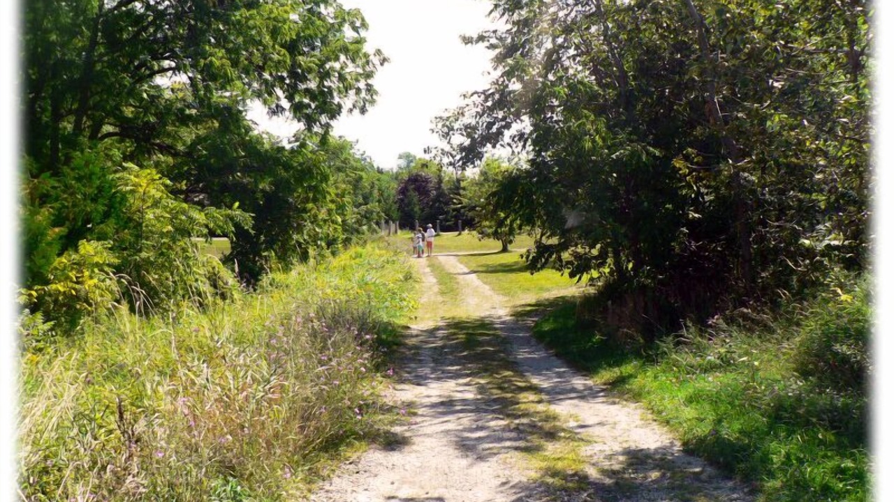 Photo of Outdoor in Port Albert