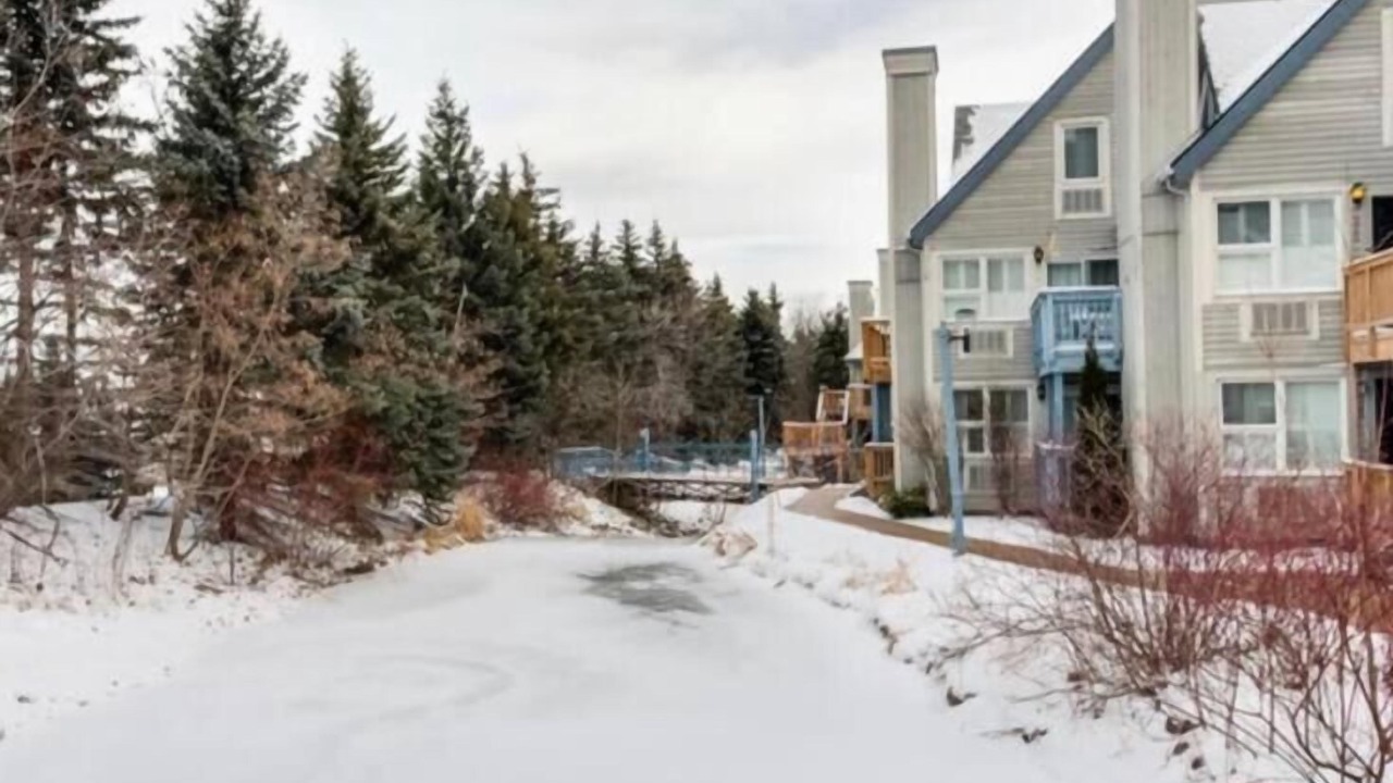 Photo of Outdoor in Craigleith