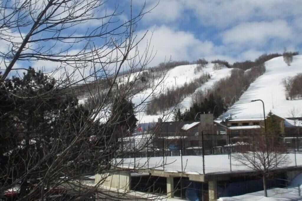 Photo of Outdoor in Craigleith