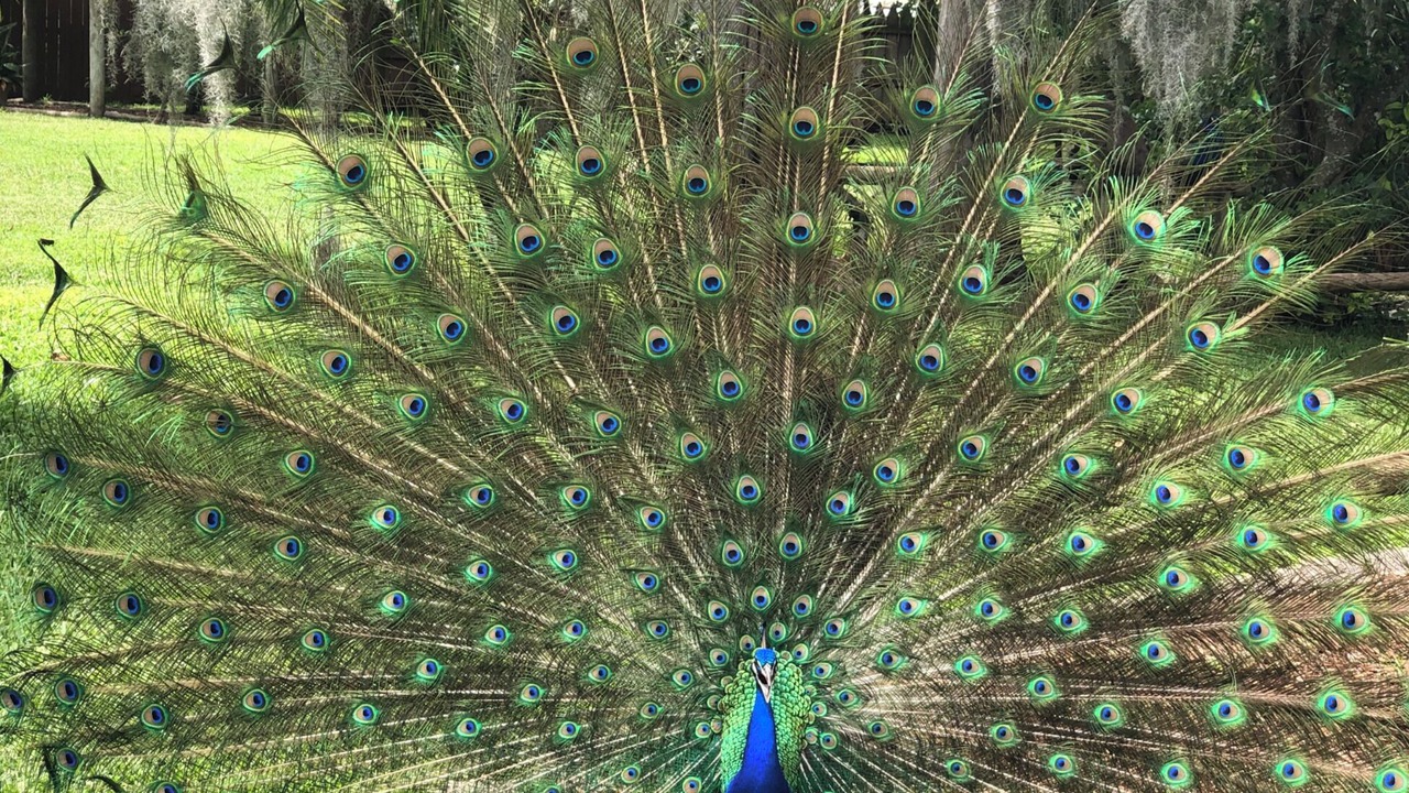 Photo of Outdoor in Oakland