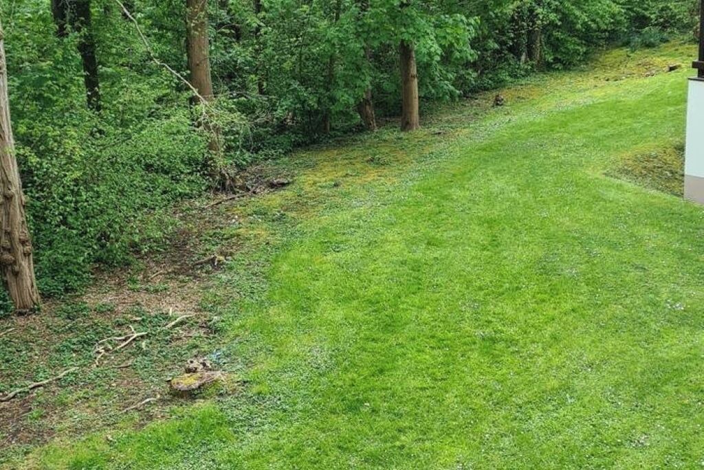 Photo of Outdoor in Champs-sur-Marne
