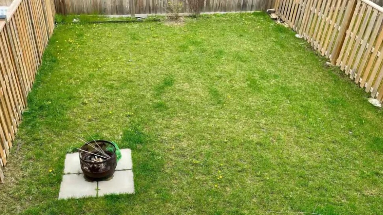 Photo of Outdoor in Collingwood