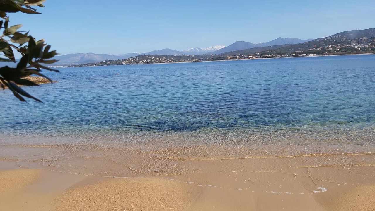 Photo of Others in Isolella