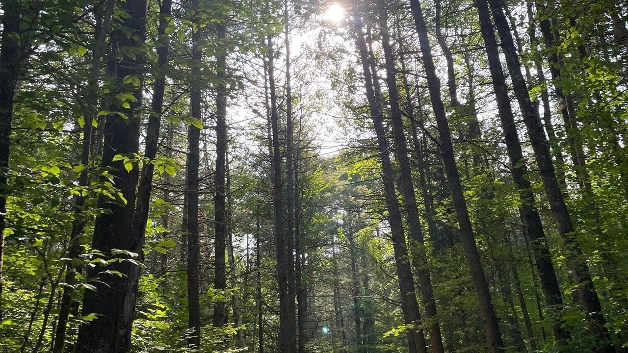 Photo of Others in Madawaska Valley