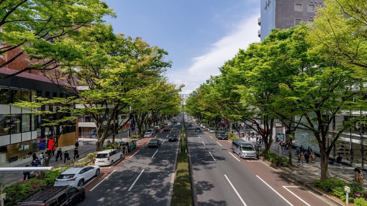 Photo of Others in Minamiaoyama