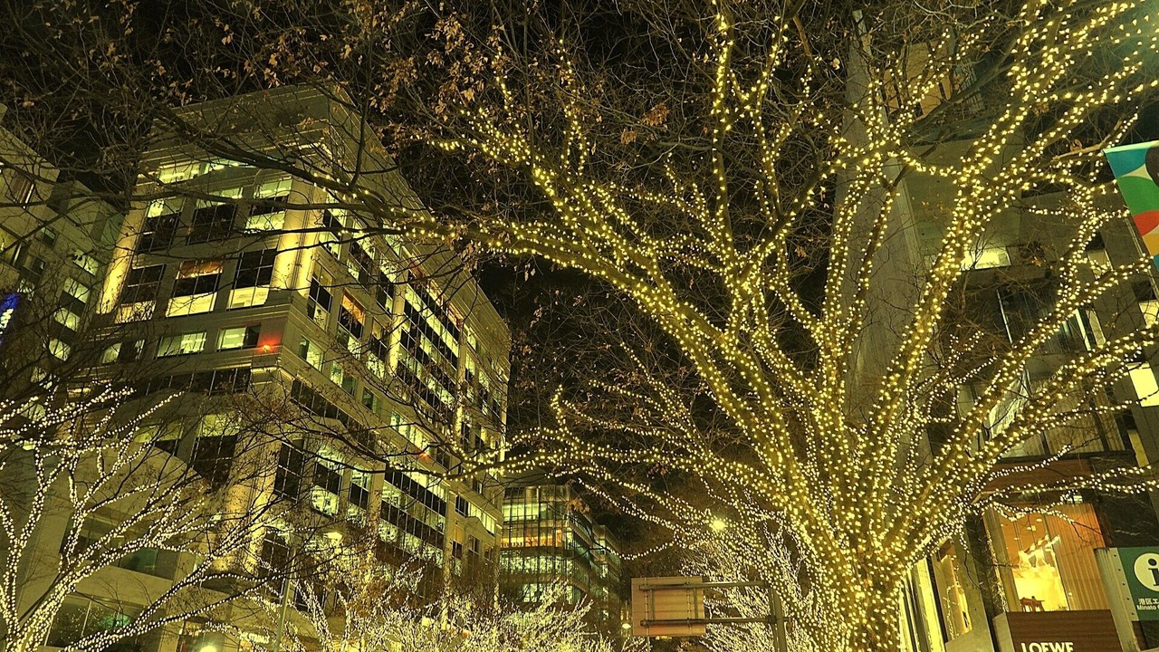 Photo of Outdoor in Minamiaoyama