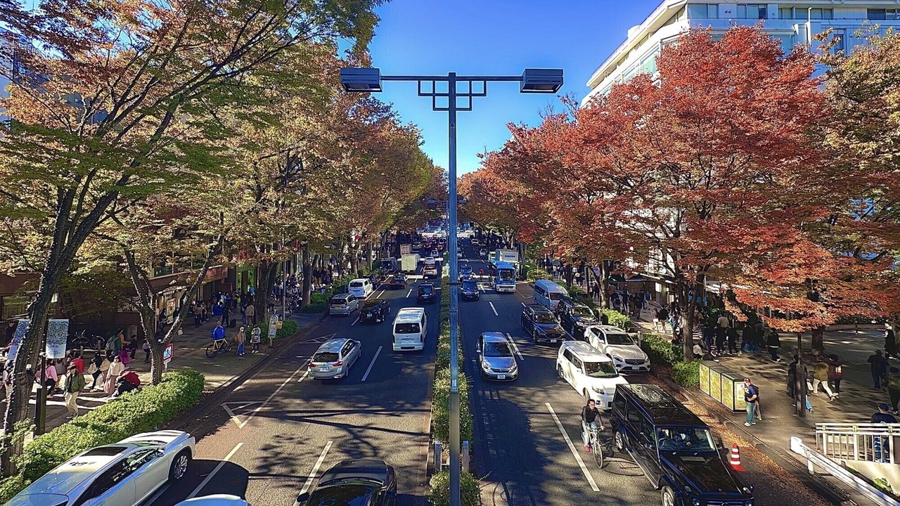Photo of Others in Minamiaoyama
