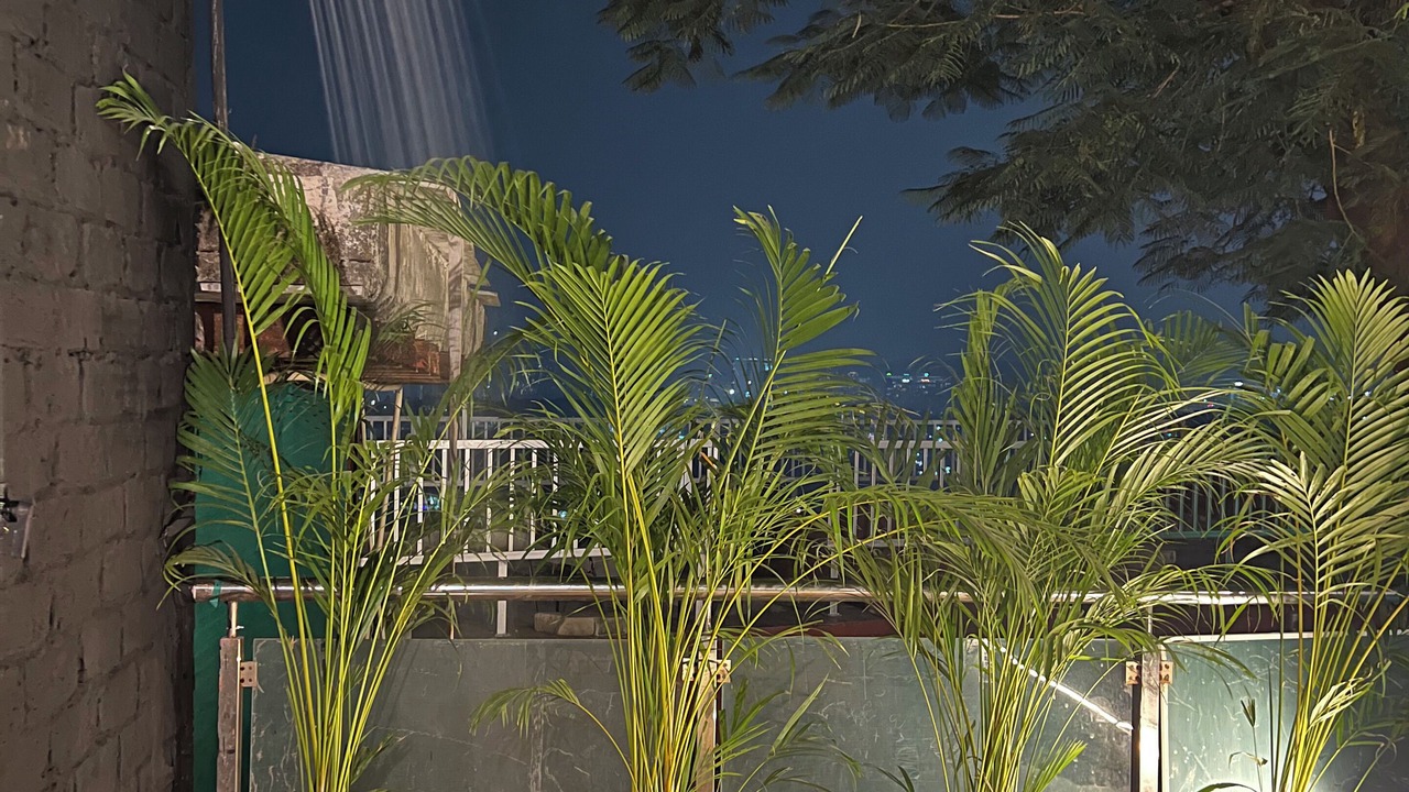 Photo of Outdoor in Aarey Colony