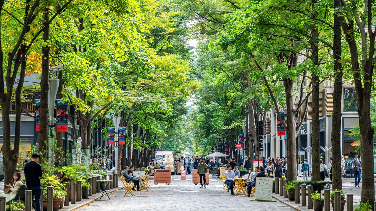 Photo of Others in Nishikasai