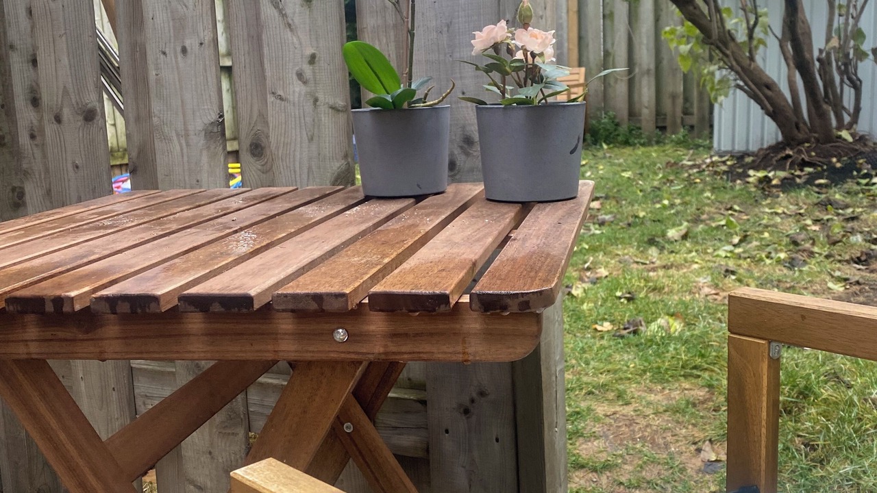 Photo of Outdoor in Cabbagetown South