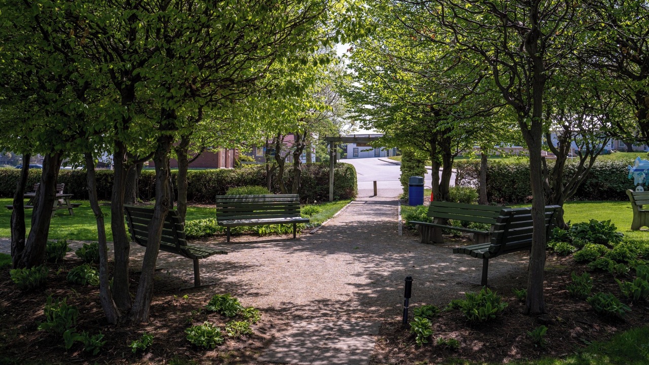 Photo of Outdoor in Port Elgin