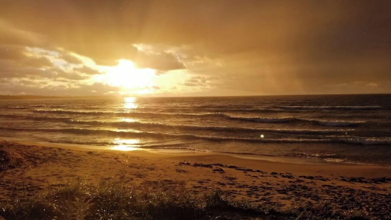 Photo of Others in Port Elgin