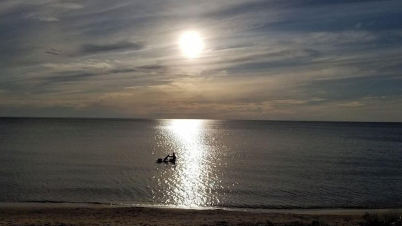 Photo of Others in Port Elgin