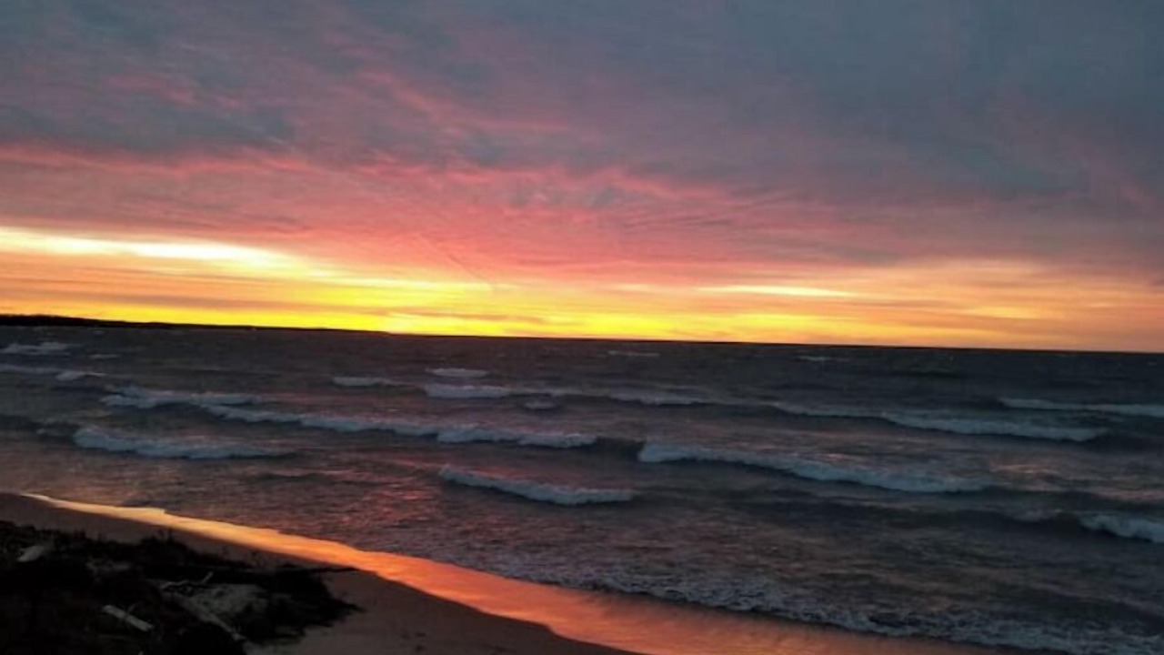 Photo of Others in Port Elgin