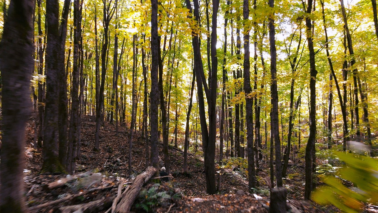 Photo of Outdoor in Haliburton