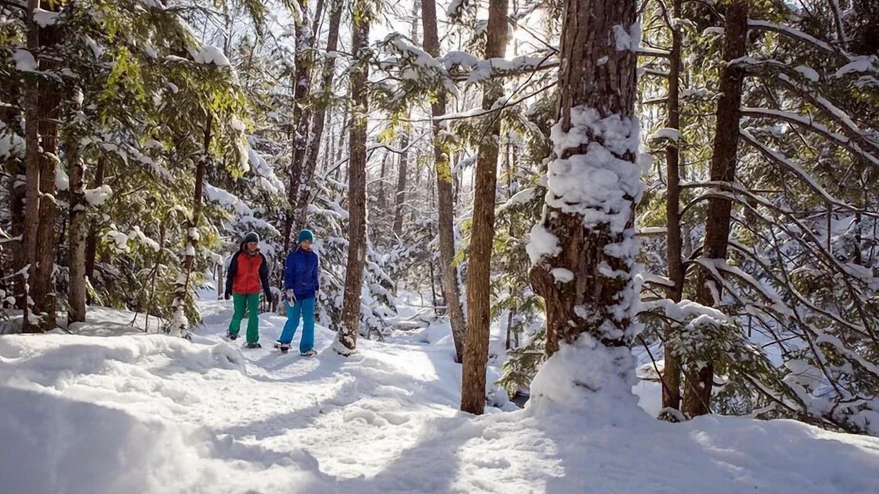 Photo of Others in Port Severn