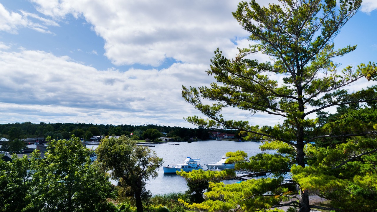 Photo of Others in Port Severn