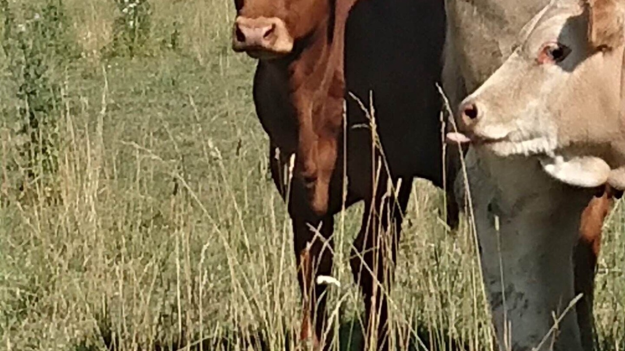 Photo of Others in Goderich