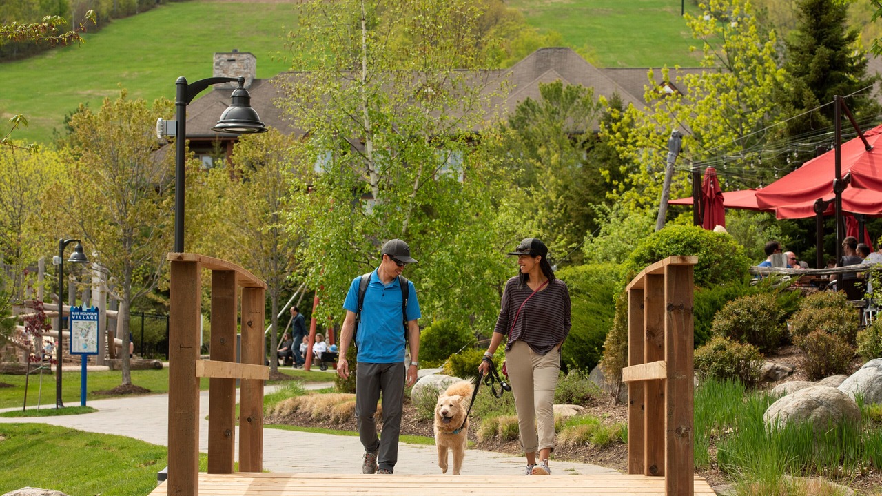 Photo of Outdoor in The Blue Mountains