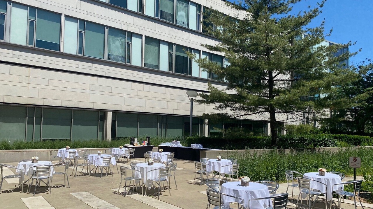 Photo of Others in York University Heights