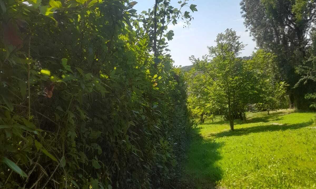 Photo of Outdoor in Montfermeil
