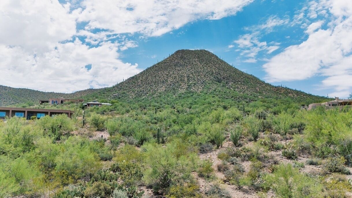 Photo of Others in Tucson
