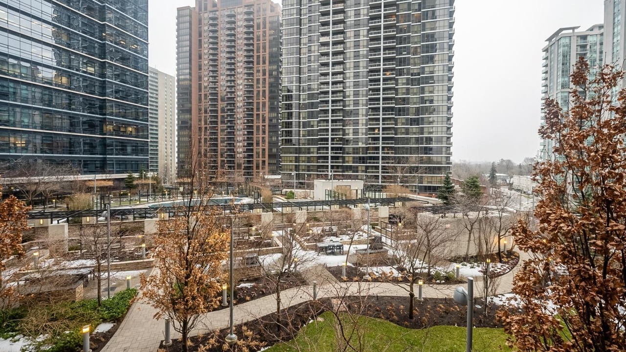 Photo of Others in Willowdale